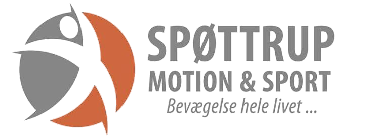 SMS Logo stor